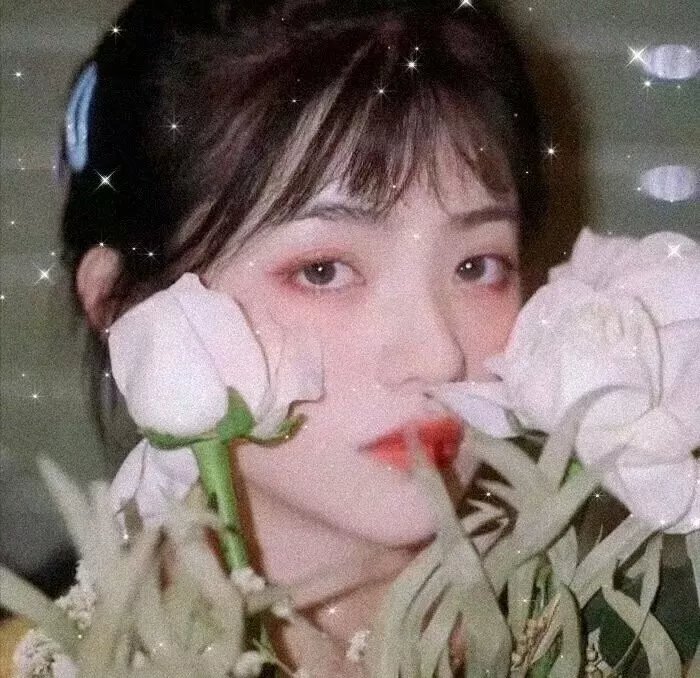 双面玛莎
