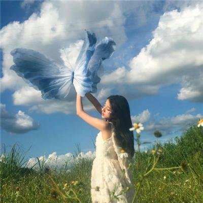 芳心谋杀案
